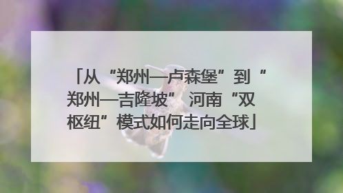 从“郑州—卢森堡”到“郑州—吉隆坡” 河南“双枢纽”模式如何走向全球
