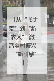 从“飞手荒”到“新农人” 激活乡村振兴“新引擎”