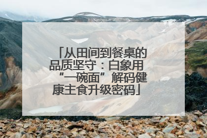 从田间到餐桌的品质坚守：白象用“一碗面”解码健康主食升级密码