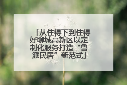 从住得下到住得好聊城高新区以定制化服务打造“鲁派民居”新范式