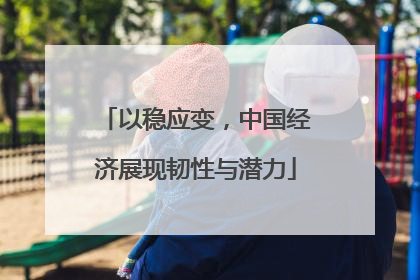 以稳应变，中国经济展现韧性与潜力