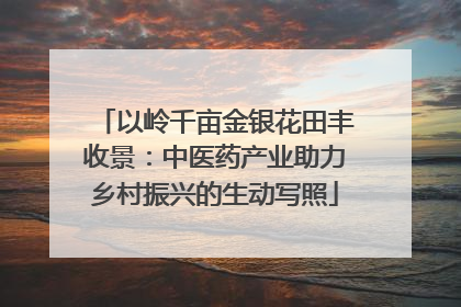 以岭千亩金银花田丰收景：中医药产业助力乡村振兴的生动写照