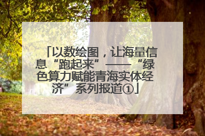 以数绘图，让海量信息“跑起来”——“绿色算力赋能青海实体经济”系列报道①