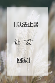 以法止暴 让“爱”回家
