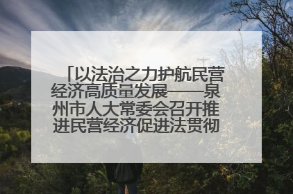以法治之力护航民营经济高质量发展——泉州市人大常委会召开推进民营经济促进法贯彻实施座谈会