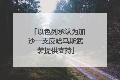 以色列承认为加沙一支反哈马斯武装提供支持