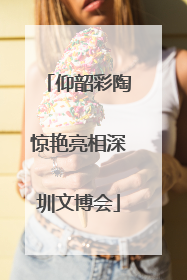 仰韶彩陶惊艳亮相深圳文博会