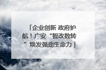 企业创新 政府护航！广安“智改数转”焕发强劲生命力｜市州焕新力