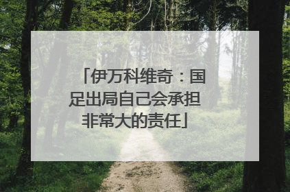 伊万科维奇：国足出局自己会承担非常大的责任