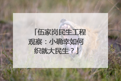 伍家岗民生工程观察：小确幸如何织就大民生？