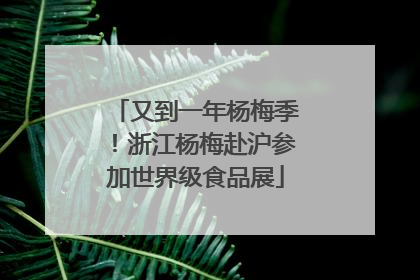 又到一年杨梅季！浙江杨梅赴沪参加世界级食品展