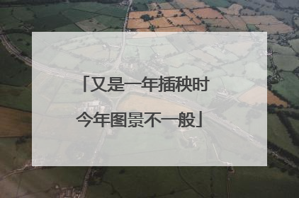 又是一年插秧时 今年图景不一般