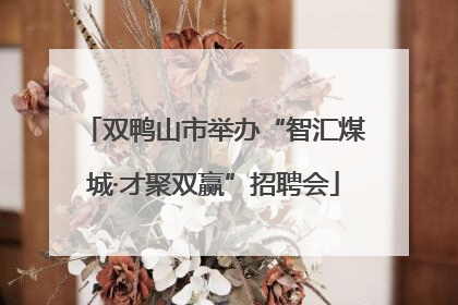 双鸭山市举办“智汇煤城·才聚双赢”招聘会
