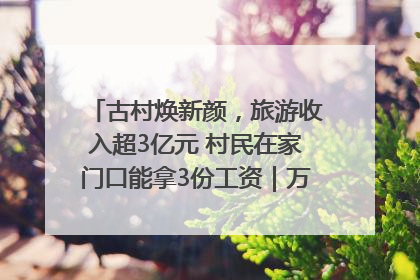古村焕新颜，旅游收入超3亿元 村民在家门口能拿3份工资｜万千气象看四川