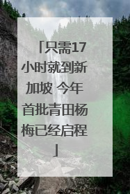 只需17小时就到新加坡 今年首批青田杨梅已经启程