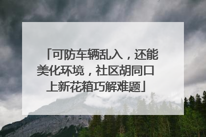可防车辆乱入，还能美化环境，社区胡同口上新花箱巧解难题