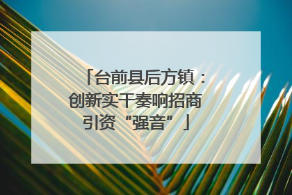 台前县后方镇：创新实干奏响招商引资“强音”