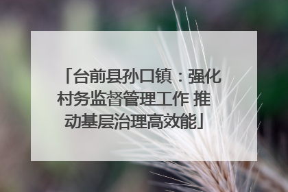 台前县孙口镇：强化村务监督管理工作 推动基层治理高效能