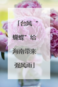 台风“蝴蝶”给海南带来强风雨