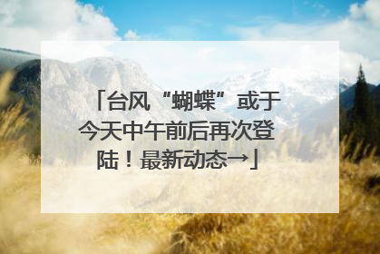 台风“蝴蝶”或于今天中午前后再次登陆！最新动态→
