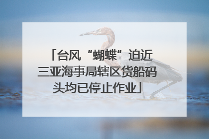 台风“蝴蝶”迫近 三亚海事局辖区货船码头均已停止作业