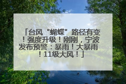 台风“蝴蝶”路径有变！强度升级！刚刚，宁波发布预警：暴雨！大暴雨！11级大风！