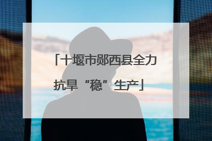 十堰市郧西县全力抗旱“稳”生产