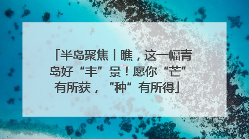 半岛聚焦丨瞧，这一幅青岛好“丰”景！愿你“芒”有所获，“种”有所得