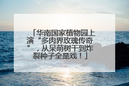 华南国家植物园上演“多肉界玫瑰传奇”，从呆萌树干到炸裂种子全是戏！
