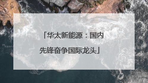 华太新能源：国内先锋奋争国际龙头