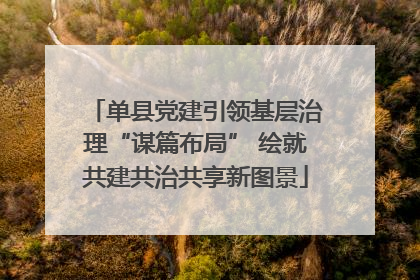 单县党建引领基层治理“谋篇布局” 绘就共建共治共享新图景