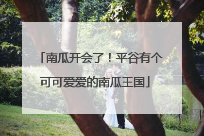南瓜开会了！平谷有个可可爱爱的南瓜王国