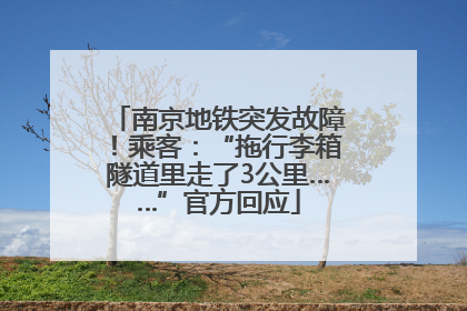 南京地铁突发故障！乘客：“拖行李箱隧道里走了3公里……”官方回应