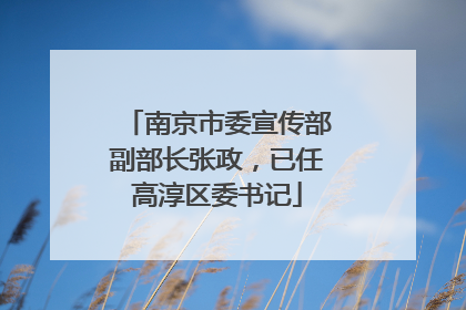 南京市委宣传部副部长张政，已任高淳区委书记