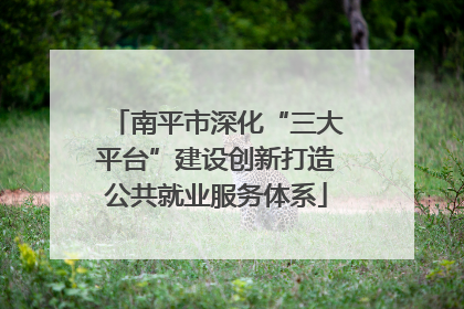 南平市深化“三大平台”建设创新打造公共就业服务体系