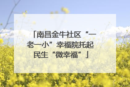 南昌金牛社区“一老一小”幸福院托起民生“微幸福”