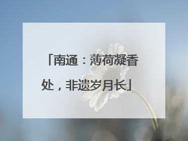 南通：薄荷凝香处，非遗岁月长