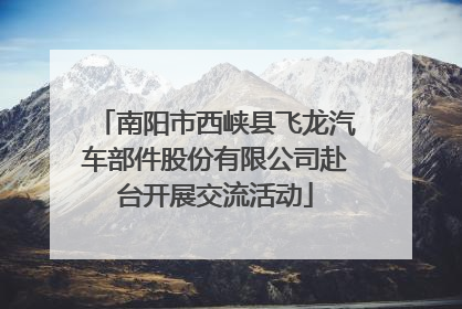 南阳市西峡县飞龙汽车部件股份有限公司赴台开展交流活动