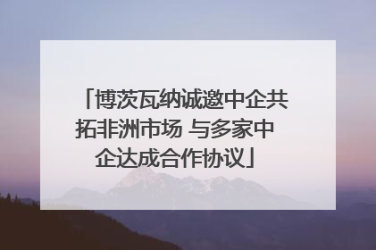 博茨瓦纳诚邀中企共拓非洲市场 与多家中企达成合作协议