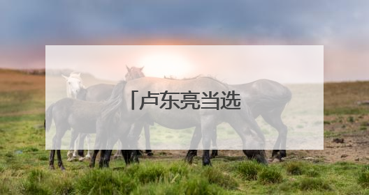 卢东亮当选山西省省长