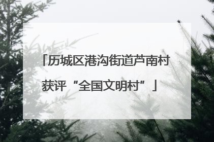 历城区港沟街道芦南村获评“全国文明村”