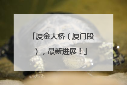 厦金大桥（厦门段），最新进展！