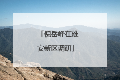 倪岳峰在雄安新区调研