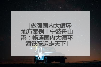 做强国内大循环·地方案例丨宁波舟山港：畅通国内大循环海铁联运走天下