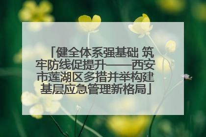 健全体系强基础 筑牢防线促提升——西安市莲湖区多措并举构建基层应急管理新格局