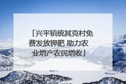 兴平镇统其克村免费发放钾肥 助力农业增产农民增收