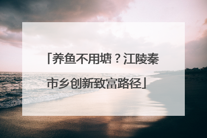 养鱼不用塘？江陵秦市乡创新致富路径