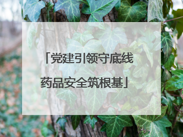 党建引领守底线 药品安全筑根基