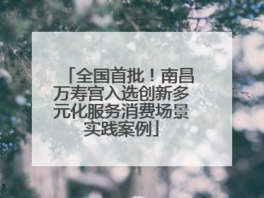 全国首批！南昌万寿宫入选创新多元化服务消费场景实践案例