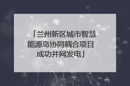 兰州新区城市智慧能源岛协同耦合项目成功并网发电